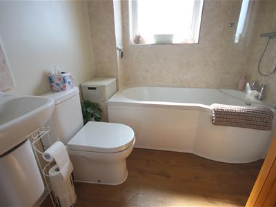 Picture 16